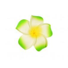  corsage hawaii groen groot