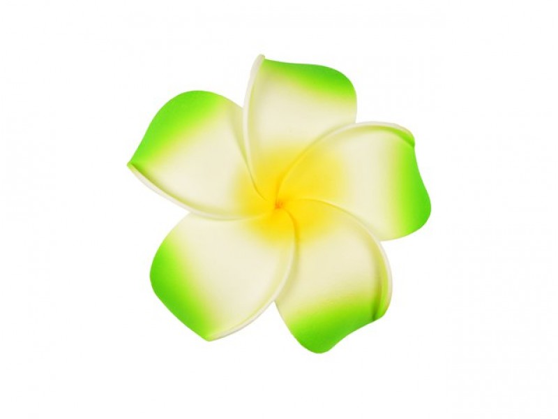  corsage hawaii groen groot