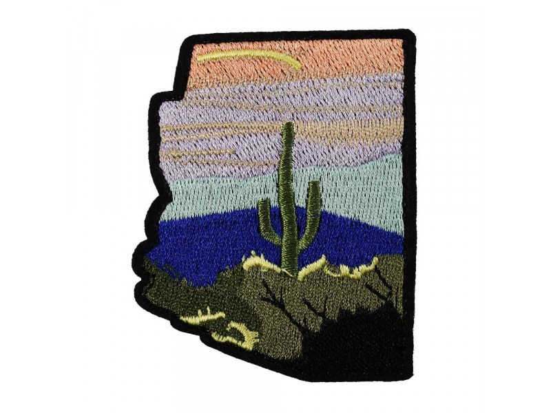 Arizona cactus patch